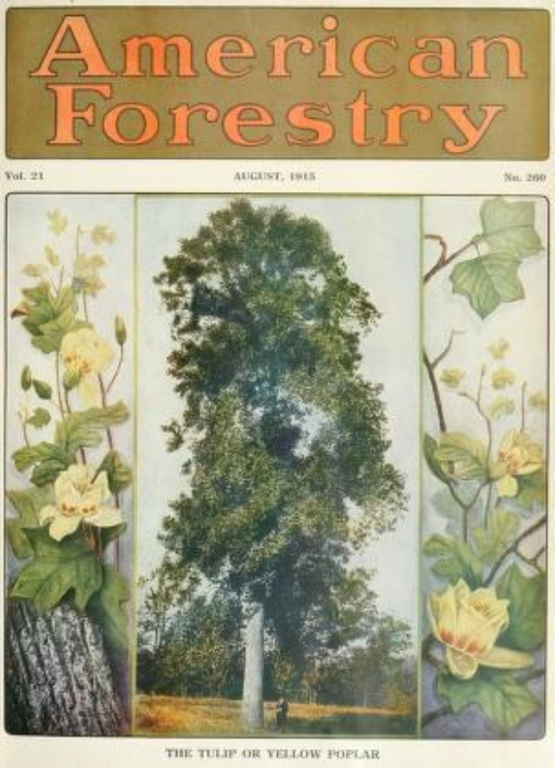 Titelbild der *American Forestry Magazine* aus dem August 1915, mit farbenfrohen Illustrationen von Bäumen, Blumen und Laub.