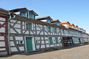 Eine Kopfsteinpflasterstraße in Heidelberg, Deutschland, gesäumt von Fachwerkhäusern mit Fenstern, Türen und Blumentöpfen, mit dem Himmel im Hintergrund.