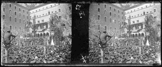 Ein Schwarz-Weiß-Foto einer großen Menge, die vor einem mehrstöckigen Gebäude mit Fenstern, Bäumen und Flaggen protestiert, einige halten Schilder und Banner.