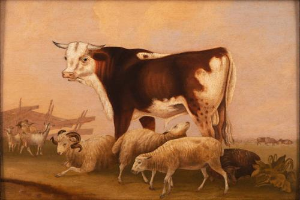 Ein gerahmtes Bild, das eine Rind in der Mitte einer Wiese mit erhobenem Kopf und aufgerichteten Ohren zeigt, umgeben von grasenden Schafen, saftigem Grün und einem klaren blauen Himmel.