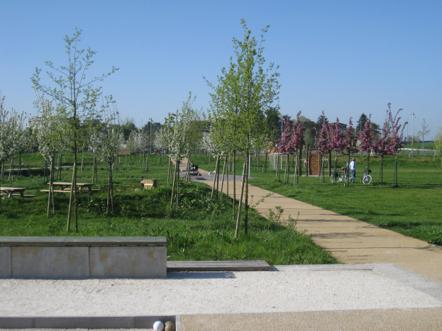 Ein Park mit einem gewundenen Pfad, gesäumt von Bäumen und Bänken, Menschen, die Fahrräder fahren, Gebäude im Hintergrund, ein klarer blauer Himmel und saftiges grünes Gras, das den Boden bedeckt.