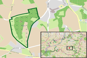 Neuer Bus-Betriebshof, Kfz-Zulassungs- und Führerscheinstelle: Umzug von der Rheinstraße-Industriezone