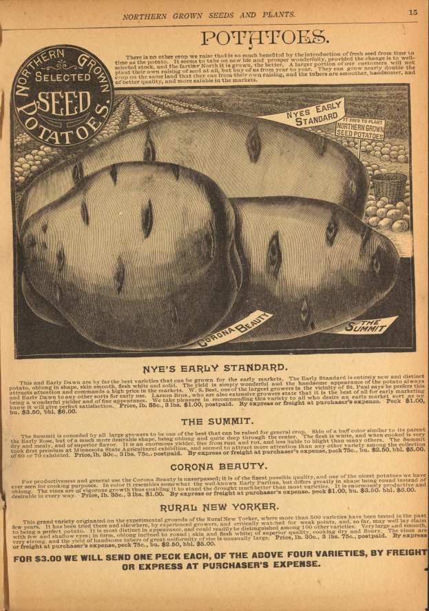 Eine alte Werbung mit einer Kartoffelillustration und Text, der eine Kartoffelpflanze und ihre Zutaten beschreibt.