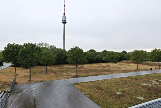 Ein Blick auf den Berliner Fernsehturm von einem Hügel aus, mit einer Straße, Gras, Zaun, Bäumen, Pfählen und anderen Gegenständen im Vordergrund und dem Himmel im Hintergrund.