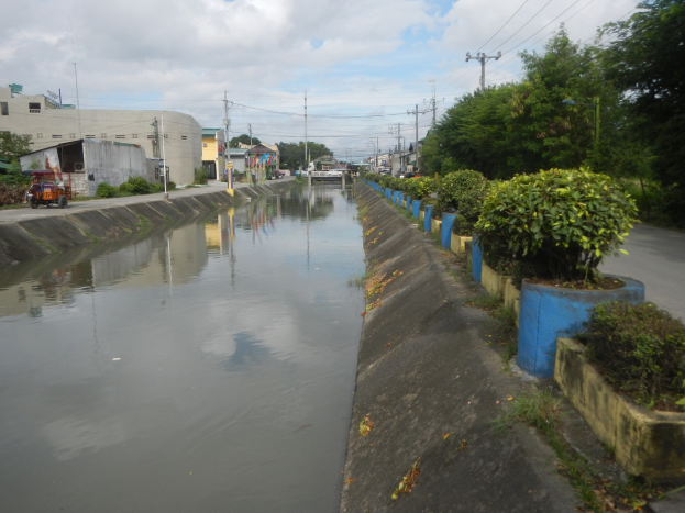 Flutende Stadtstraße mit Wasser auf der Straße, Bäumen und Pflanzen auf der rechten Seite, Fahrzeugen auf der linken Seite, Gebäuden und Versorgungsmasten mit Drähten im Hintergrund und einem bewölkten Himmel oben.